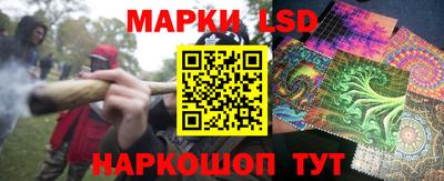гашик Новозыбков