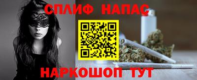 гашик Новозыбков