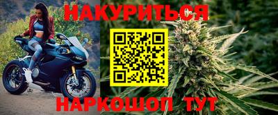 гашик Новозыбков